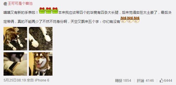 城里人真會(huì)玩，用鱷魚(yú)、穿山甲來(lái)評(píng)測(cè)Apple Watch 