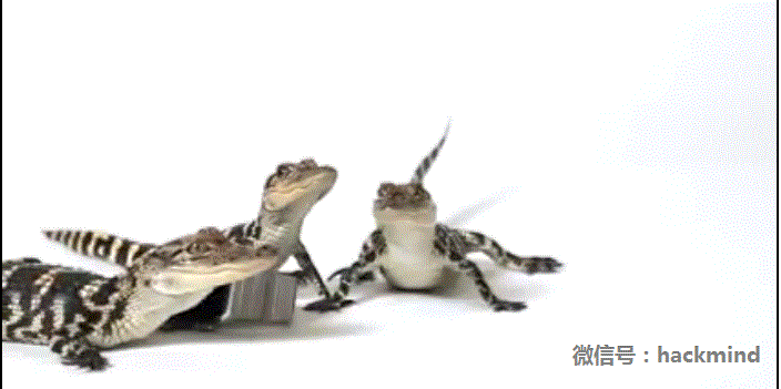 城里人真會(huì)玩，用鱷魚(yú)、穿山甲來(lái)評(píng)測(cè)Apple Watch 