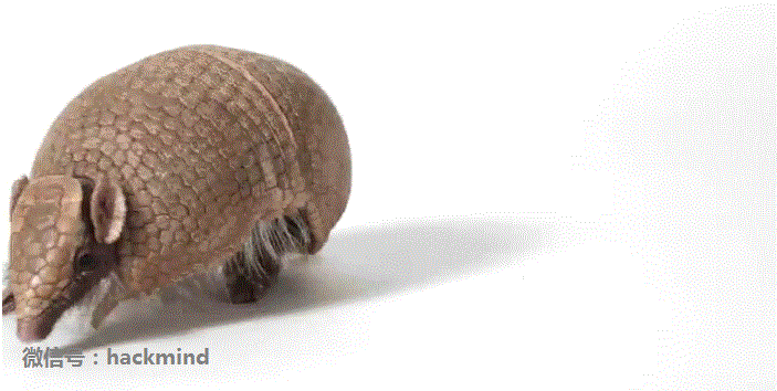 城里人真會(huì)玩，用鱷魚(yú)、穿山甲來(lái)評(píng)測(cè)Apple Watch 